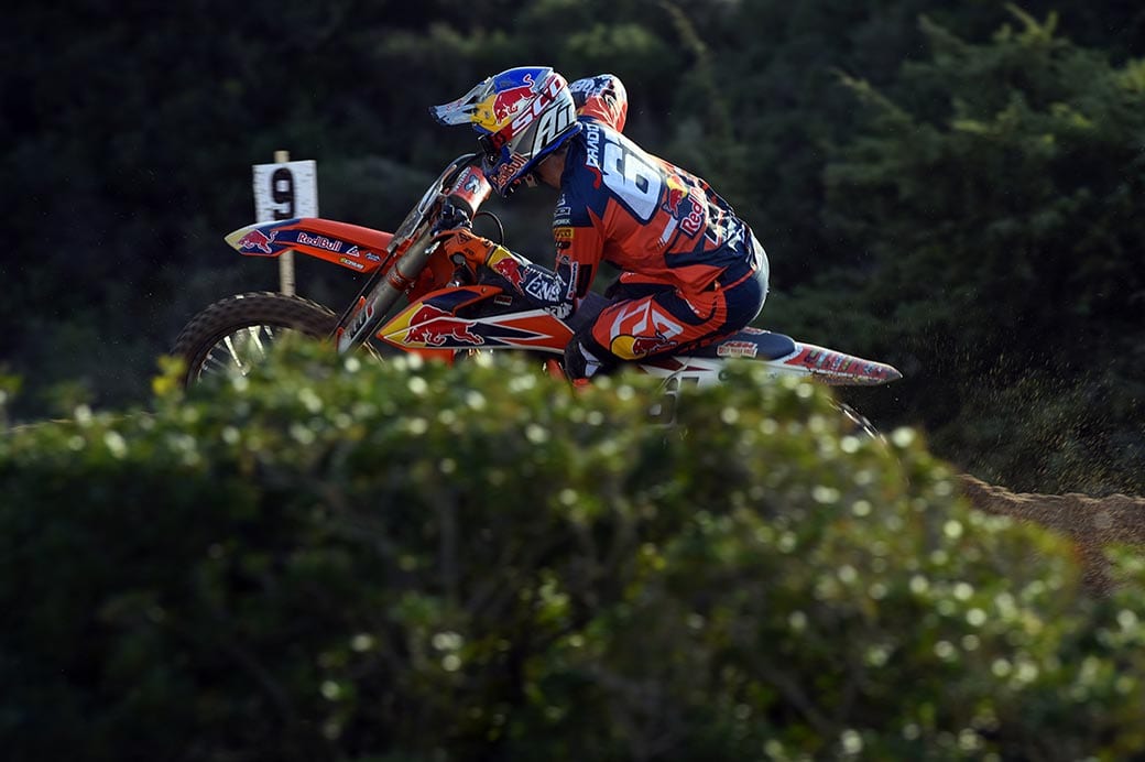 Jorge Prado