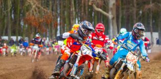 Ecosse all set for New Year starter