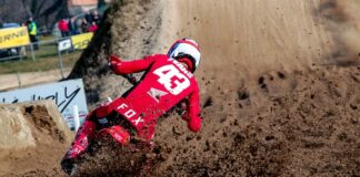 Mitch Evans recovers from successful shoulder surgery Mitch Evans