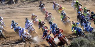 Internazionali d’Italia live stream – Riola Sardo