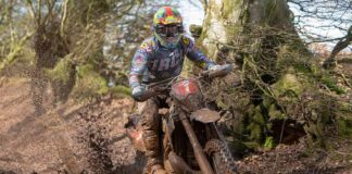 BEC: 2019 Brass Monkeys highlights