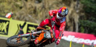 Conrad Mewse: Further injury discovered – requires surgery Conrad Mewse ā MXGP of Argentina, Neuquen 2019