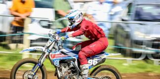 Columnist: Jane Daniels – dog days and brake caliper woes