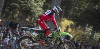 Preview: MX1 British Motocross Championship – FatCat 2019 Tommy Searle