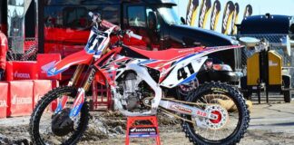 AMA permanent numbers