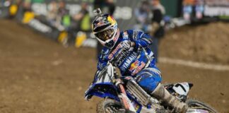 Anaheim Clip Ticklers!