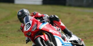 Big Star in for WBR 2017