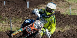 British Champion launches new ‘Simpson Army’ fanclub