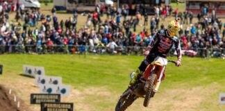 Cairoli and Herlings are rut railing royalty