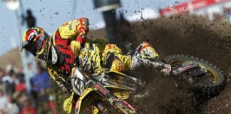 Desalle to undergo shoulder operation
