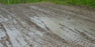 Foxhill Maxxis ACU British Motocross Championship cancelled