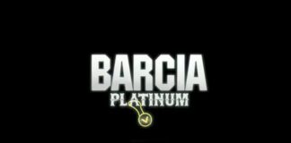 Friday Flickaroo: The Bear’s Choice Edition