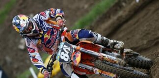 Herlings injured femur in Belgium – now undergone successful surgery