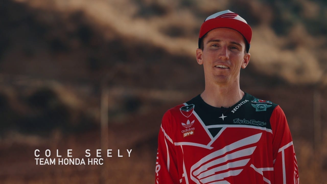 cole seely adidas