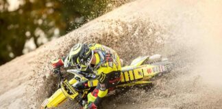 Stefan Everts fights Malaria infection Stefan Everts