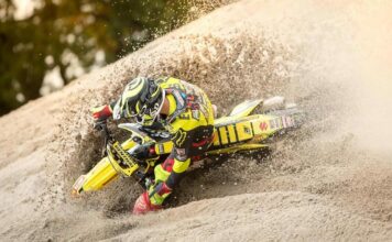 Stefan Everts fights Malaria infection Stefan Everts
