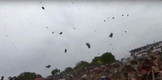 MXGP & MXoN Season Review 2019