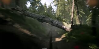 MXGP PRO presents its Compound – details and video