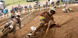 Nicholls and Searle to miss Matterley