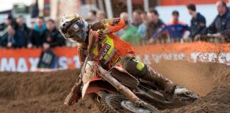 Nicholls: I will be one determined b*stard next year