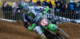 Searle and Simpson unscathed and sharing honours