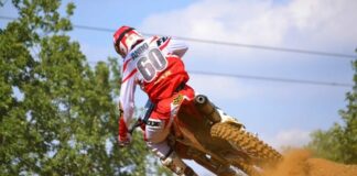 Sophie’s Fave Five #13