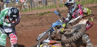 Sophie’s Fave Five! April 28 2011