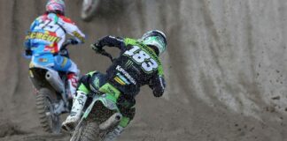 Steven Frossard between green and yellow for 2016