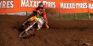 Steven Lenoir – The Crown