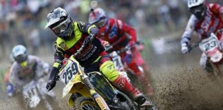 The Hoff is hopeful for home GP victory