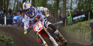 The Vibe in Valkenswaard egged on by Paulin and Herlings