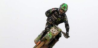 Time for Tonus to return