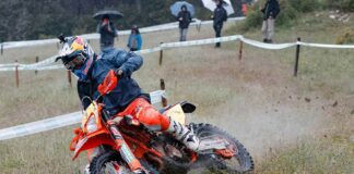 WESS: Trefle Lozerien highlights