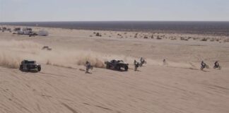 Video: Dirt Shark – The Doonies