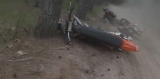 Video: Honda CRF450R vs black bear