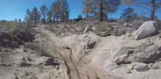 Video: Two minutes in Baja