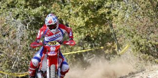 Watch: Realisation Of A Dream featuring Steve Holcombe