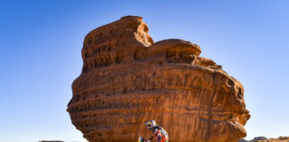 Dakar 2021: Price trails Cornejo after stage eight