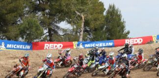 RFME Spanish MX: All Results