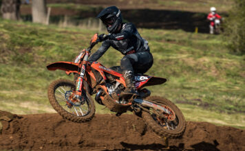 MXGB Lyng: All results