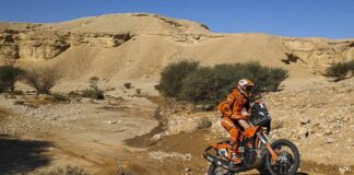 Dakar Rally: Petrucci wins Dakar stage five