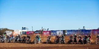 MXN Fatcat: Live Stream